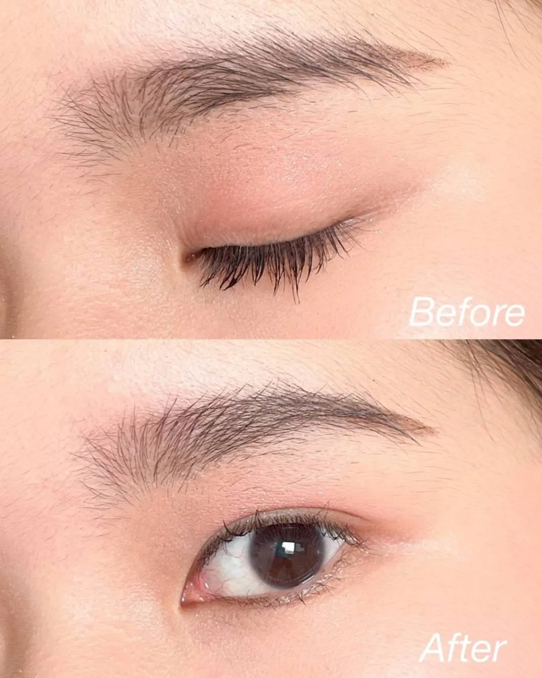 2p oh my brow Mascara